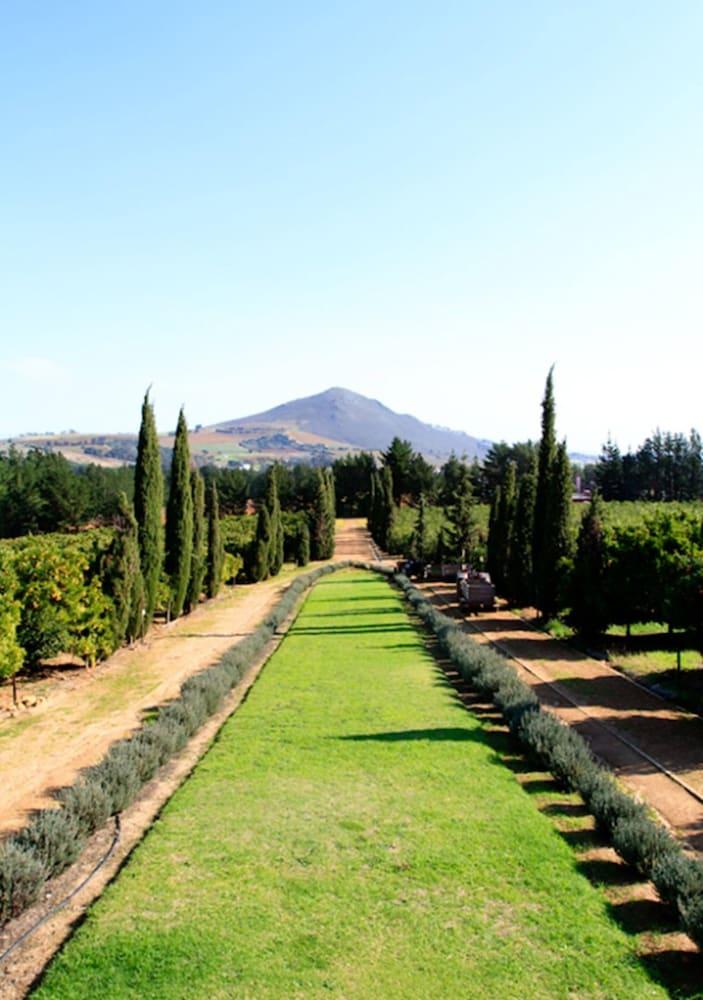 Bed and Breakfast Marianne Wine Estate à Stellenbosch Extérieur photo