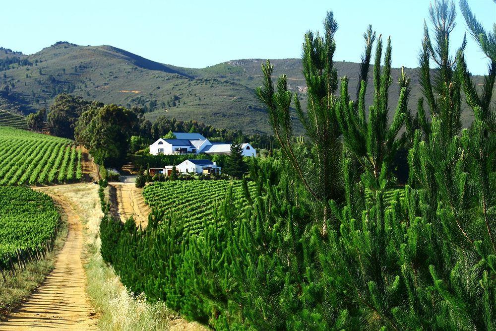 Bed and Breakfast Marianne Wine Estate à Stellenbosch Extérieur photo