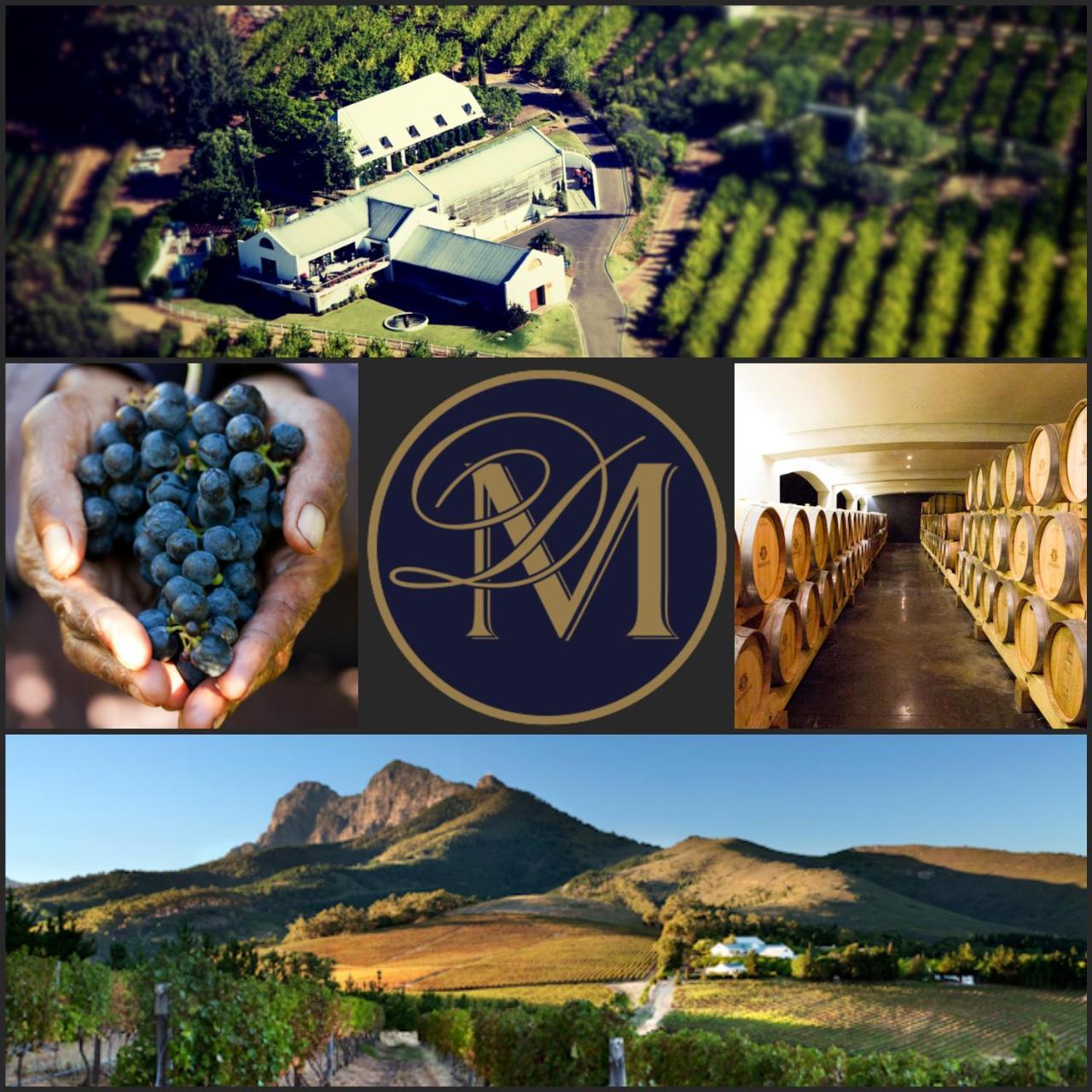 Bed and Breakfast Marianne Wine Estate à Stellenbosch Extérieur photo